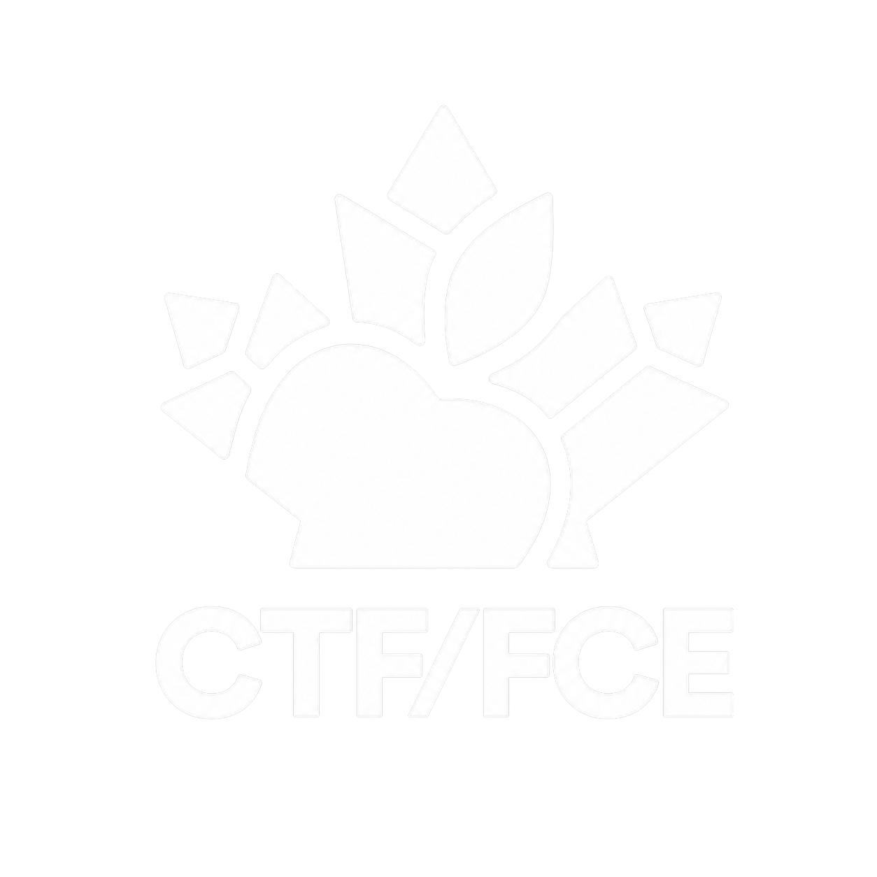 CTF/FCE